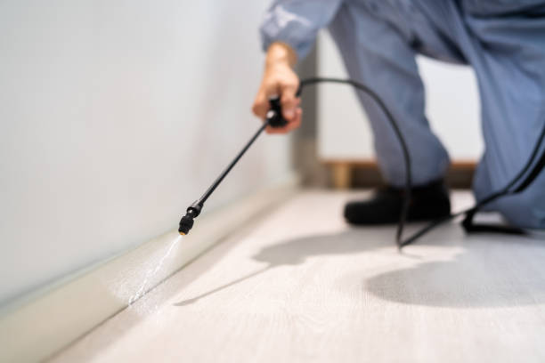 Licensed Pest Control service in Middletown, CT - Show Me Pest Control