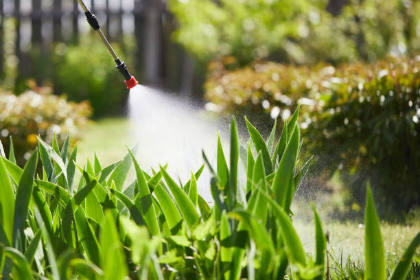 24/7 Emergency Mosquito Control experts in Middletown, CT
