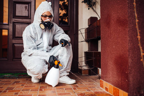 Reliable Mosquito Control contractor in Middletown, CT by Show Me Pest Control